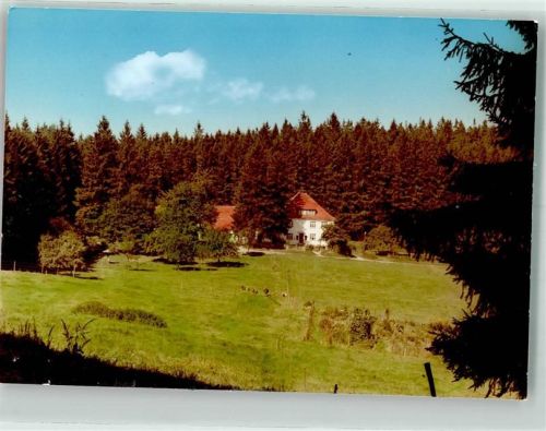 Hoppecke Foto Original aus Archiv eines Ansichtskartenverlags Kühe Ort handschriftlich