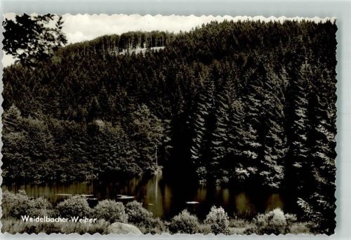 Feudingen Weidelbacher Weiher