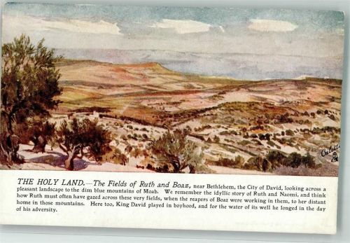Bethlehem sign. J. Fulleylove Tuck´s Oilette Wide Wide World Das heilige Land Serie I Nr. 8978 Ebene von Ruth und Boaz