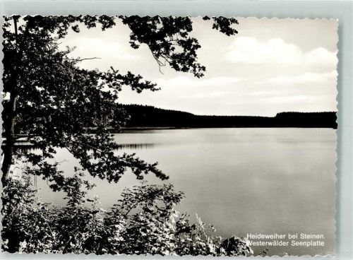 Steinen Heideweiher Westerwälder Seenplatte