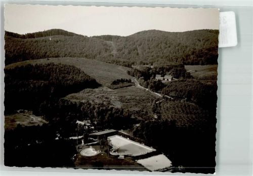 Hörste Foto Original aus Archiv eines Ansichtskartenverlags Vogelschau Freibad Ort handschriftlich