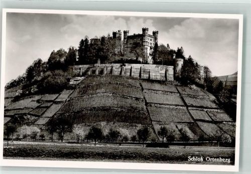 Ortenberg Schloss