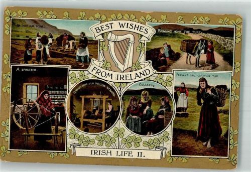 Dublin Esel Spinnrad Tracht Webstuhl Ort lt. Verlag