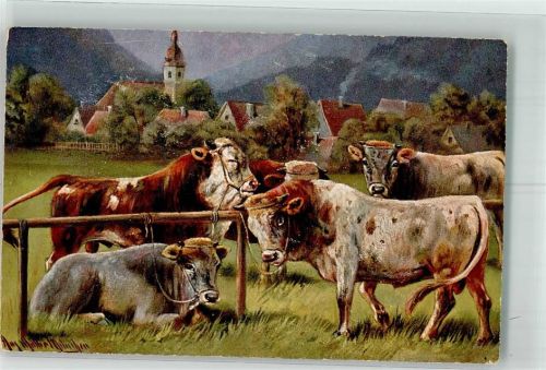 Kühe HKM Nr.1228