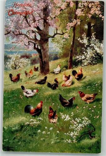 1922 Verlag Stroefer Serie 1586 Geflügel Ostern