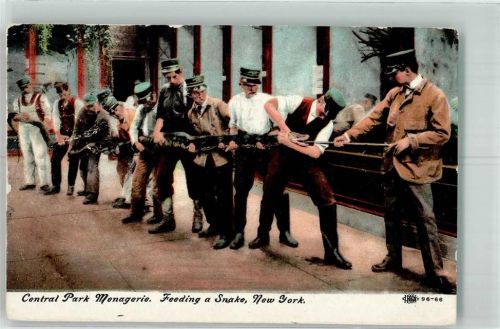 New York City 1910 Central Park Menagerie Zoo - Feeding a Snake