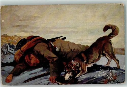 Rotes Kreuz Soldat sign. Sailer Wohlfahrtskarte Nr.2