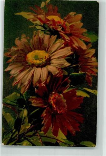 1916 Nr. 513 Pastell Blumen