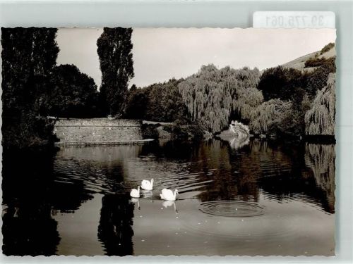 Letmathe Foto Original aus Archiv eines Ansichtskartenverlags Volkspark Schwanenteich Ort handschriftlich
