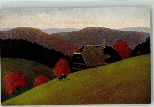 Schwarzwaldhaus Serie II Nr. 15 Verlag Geschw. Moos