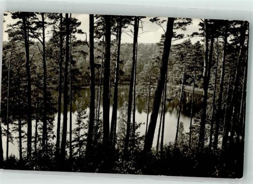 Köthen Blick auf den Märchensee