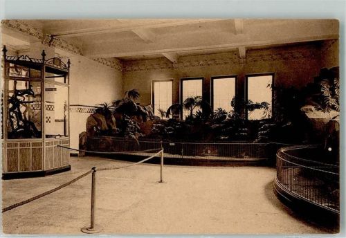 Antwerpen Reptilien-Galerie Schildkrötenbecken