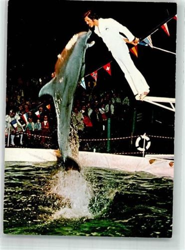 Rust Europa-Park Delphin-Show mit Trainer Verlag Stumpf