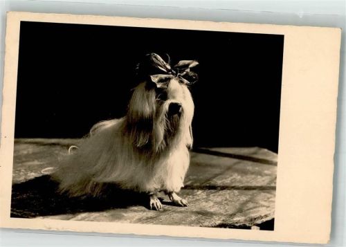 1932 Kleine Schönheit