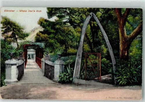 Gibraltar Eine Brücke mit Walkieferknochen Schreiber Photochromie-Karte 1808