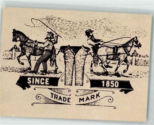 Levis Jeans since 1850