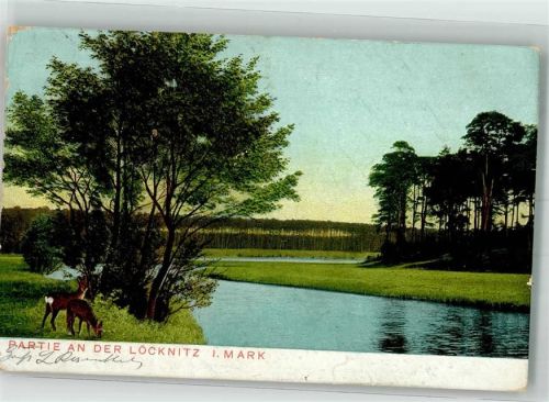 Woltersdorf 1904 Äsende Rehe an der Löcknitz Ort lt. Stempel