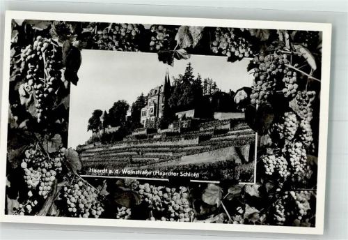 Haardt Haardter Schloss umrahmt von Weinreben