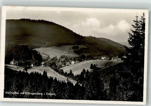 Wildenthal 1934 mit Ellbogenberg Verlag Brück & Sohn Nr. 26128