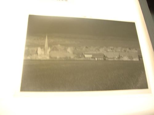Friedewald Negativ