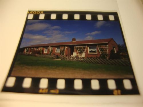 Friedrichskoog Gasthaus zur Spitze, Dia