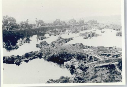 Bergen Moor , Fotoabzug