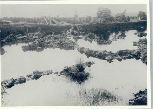 Bergen Fotoabzug Salzmoor