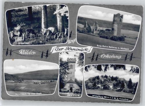 Morbach Erbeskopf, Wildenburg, Burg-Ruine Baldenau, Hirschbach-Tal, Idar-Kopf, Wildgruppe