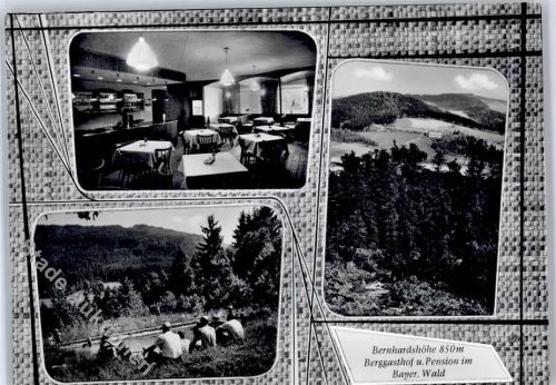 Sankt Englmar Berggasthaus und Pension Bernhardshöhe