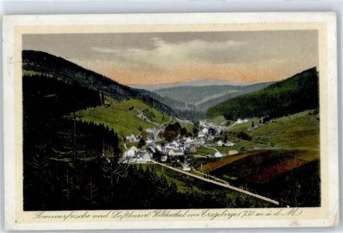 Wildenthal 1926