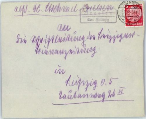 Zielenzig Landpoststempel Breesen