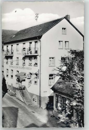 Heiligkreuzsteinach Gasthaus Pension Zum goldenen Hirsch