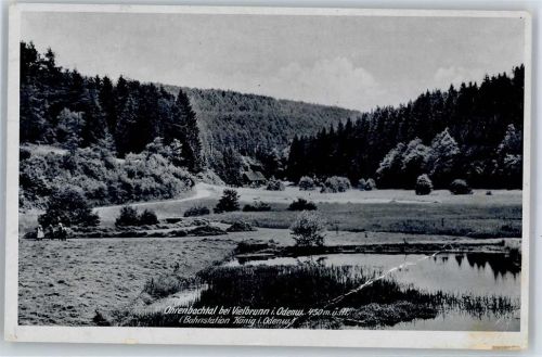 64720 W6120 Vielbrunn , Odenw - Ohrenbachtal
