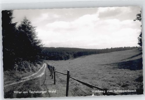 Hilter Waldweg zum Schoppenbusch
