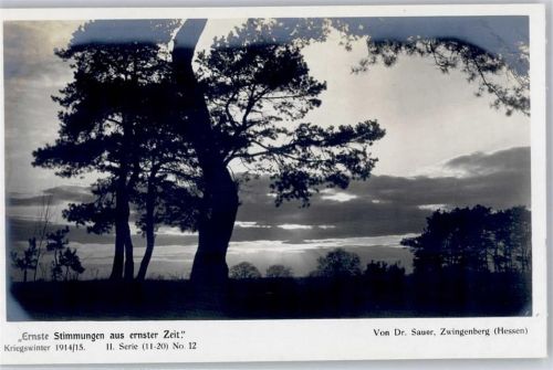 Zwingenberg Stimmung Dr. Sauer