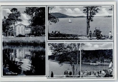Malente-Gremsmühlen Pension Villa Flora Seeaussicht auf Holm Badeanstalt Diekseebucht