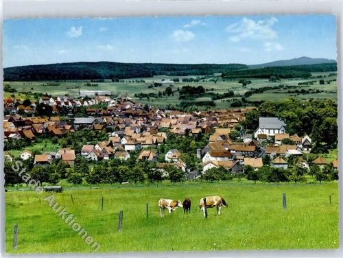Gedern Kühe