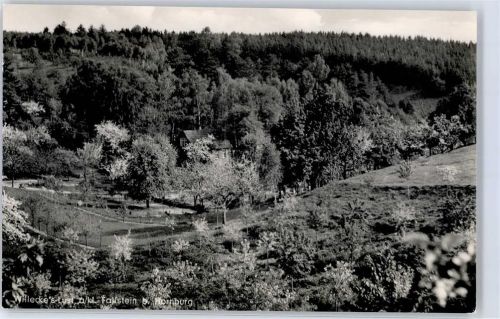 Hornburg Fallstein