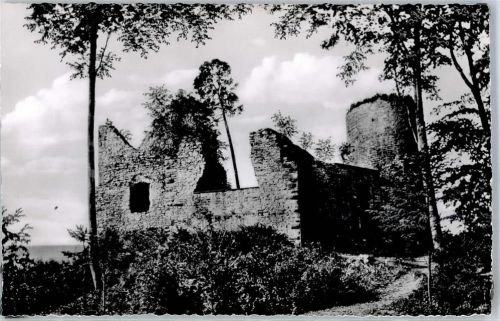 Polle Burgruine