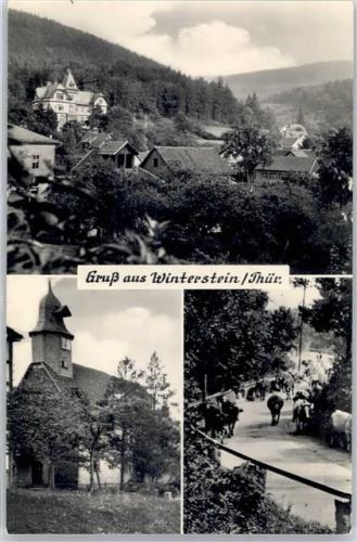 Winterstein Kirche Kuhherde