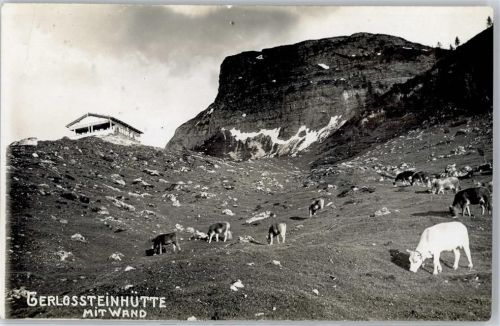 Zell Gerlossteinhütte mit Wand Kühe