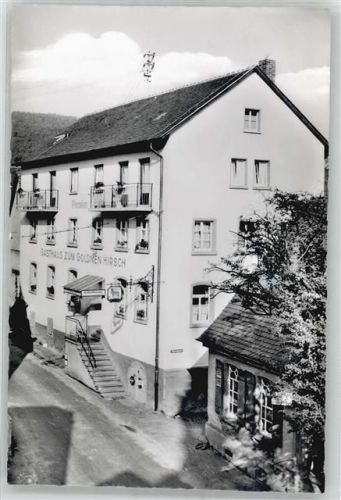 Heiligkreuzsteinach Gasthaus Pension Zum goldenen Hirsch