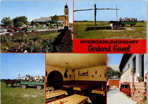 Illmitz Pferderundfahrt Weinstube Brettljause Gerhard Gangl Kirche