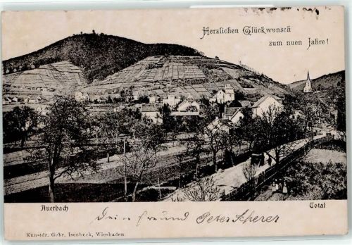 Auerbach 1907