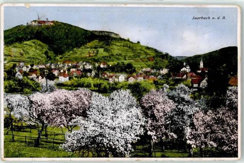 Auerbach Schloss