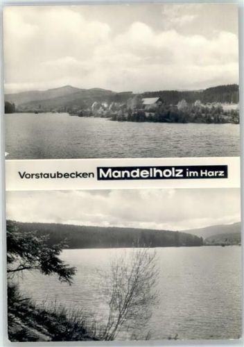 Elend Vorstaubecken Madelholz Harz