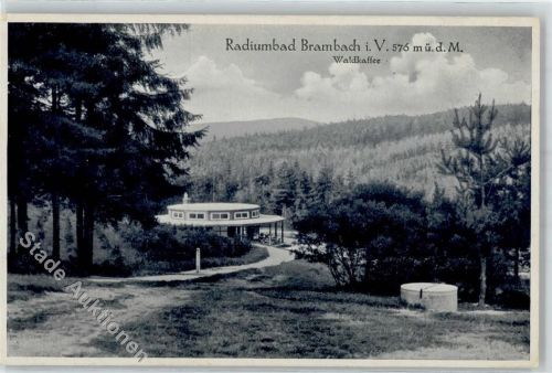 Bad Brambach Cafe