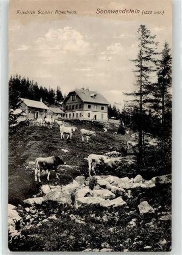 Friedrich Schüleralpenhaus 1916 - Sonnwendstein