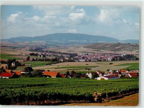 Einselthum Blick zum Donnersberg