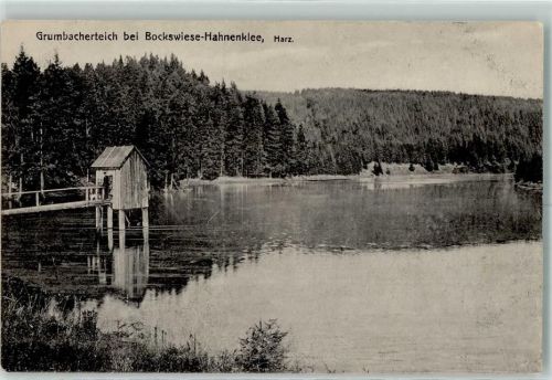 Hahnenklee-Bockswiese Grumbacherteich Haus Mann Uniform Wald